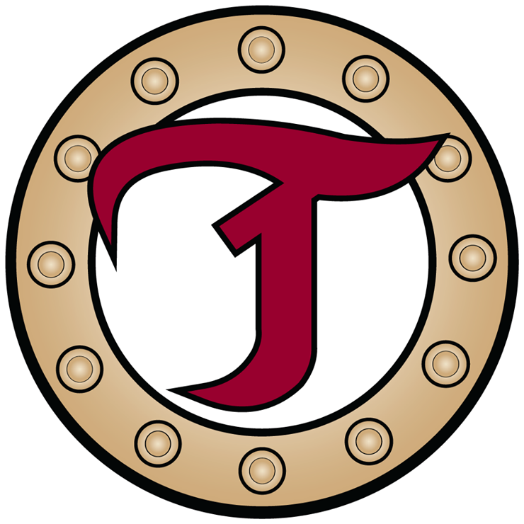 Acadie-Bathurst Titan 2013-Pres Alternate Logo iron on heat transfer